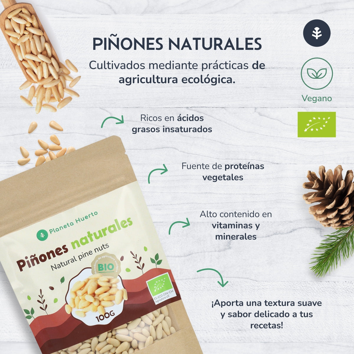 Pine nuts ECO Planeta Huerto 100gr