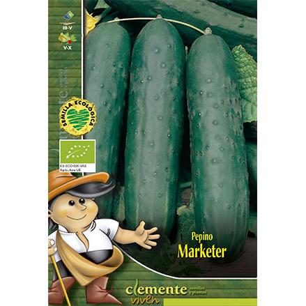 Semi di cetriolo Marketer Clemente