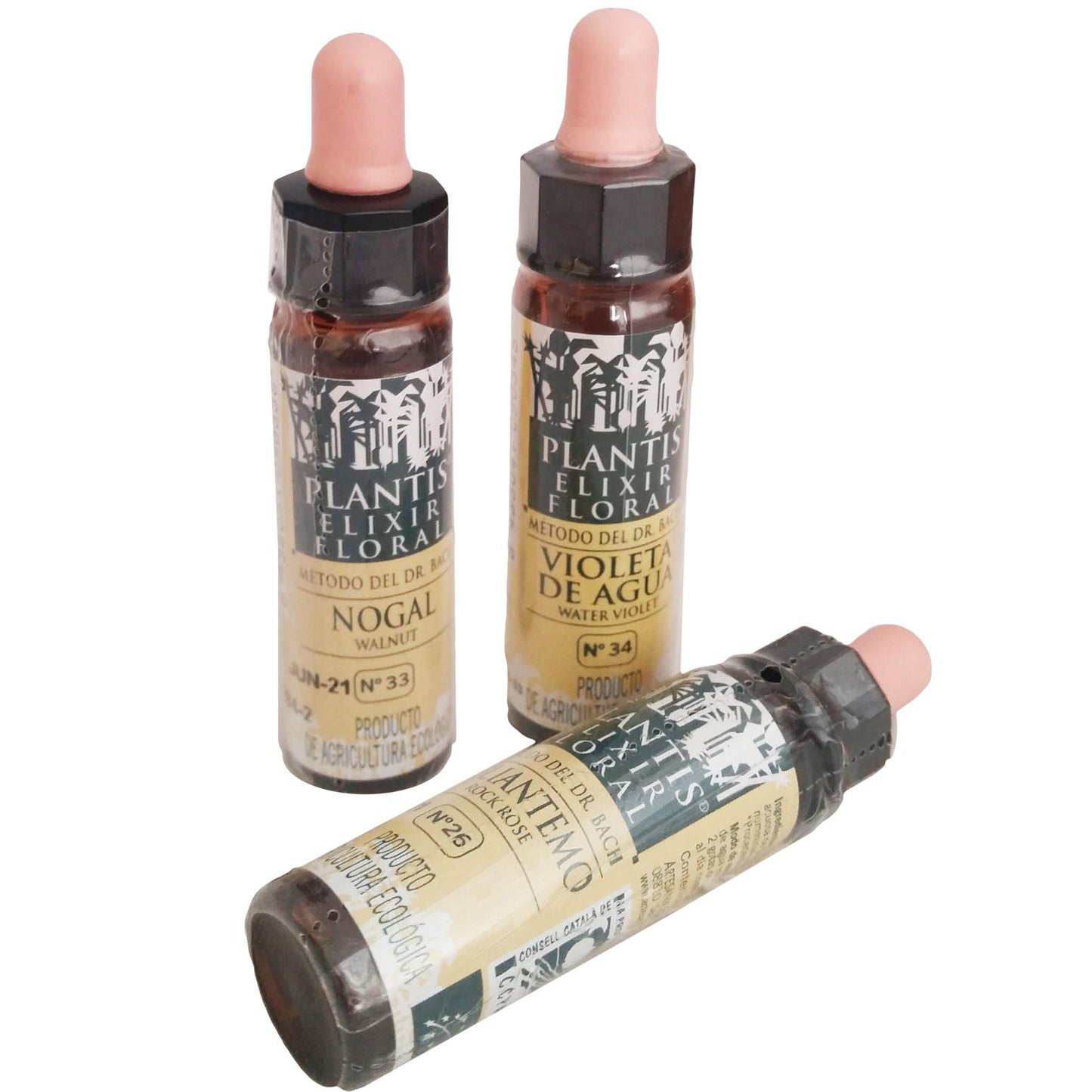 Plantis 38 Wilg 10 ml Eco Artesania