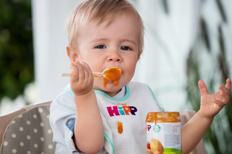 Pack of 3 jars of mixed fruit with organic cereals +6 months HiPP 190 g