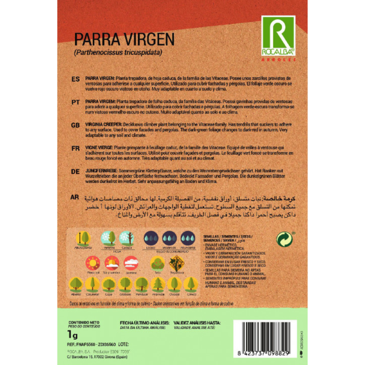 Virgin Grape Seeds Parthenocissus tricuspidat