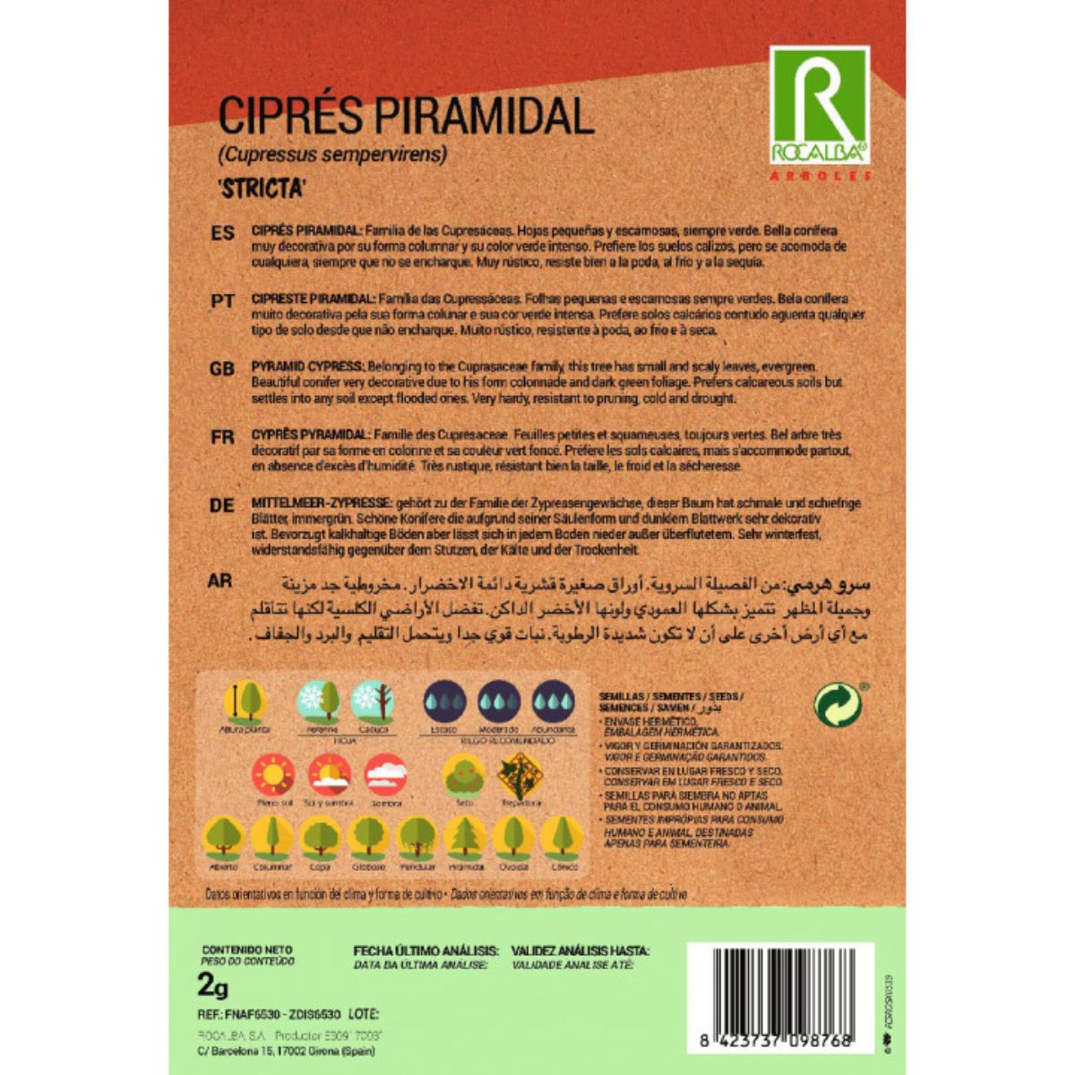 Samen der Pyramidenzypresse Immergrüne Zypressen