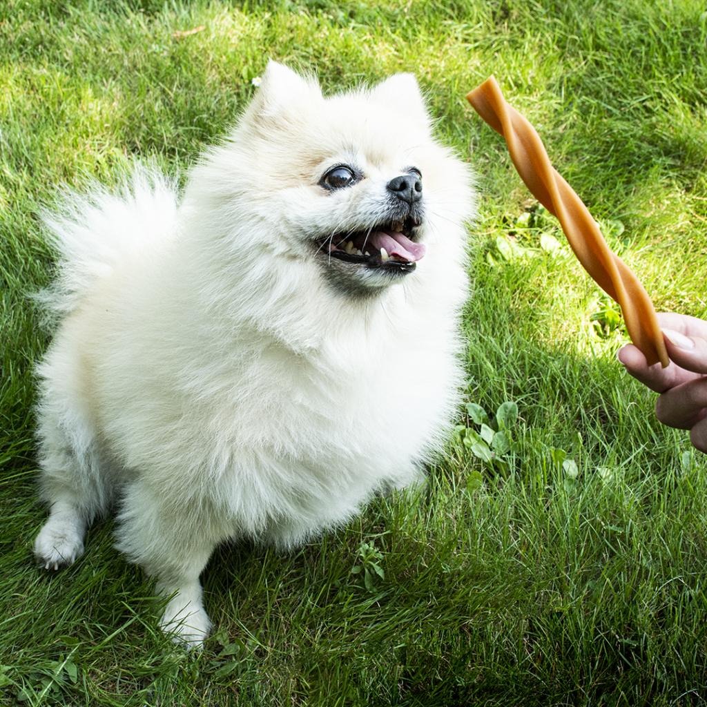 Garden Bites Fruity Dental Swirls Tandverzorgingssnack voor honden S 30 stuks Duvo