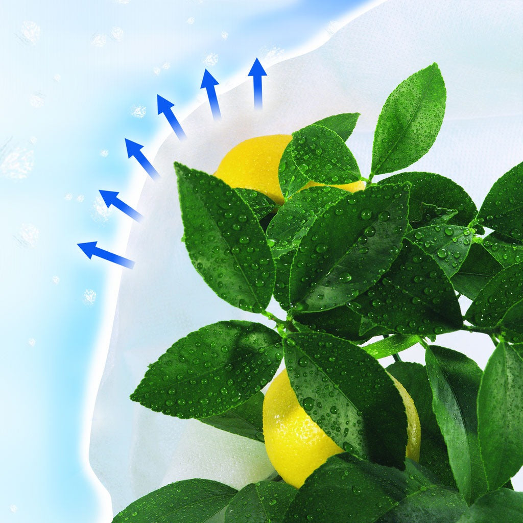 Hiversac Deco Nortene Anti-Frost Hibernation Cover, 3 pcs