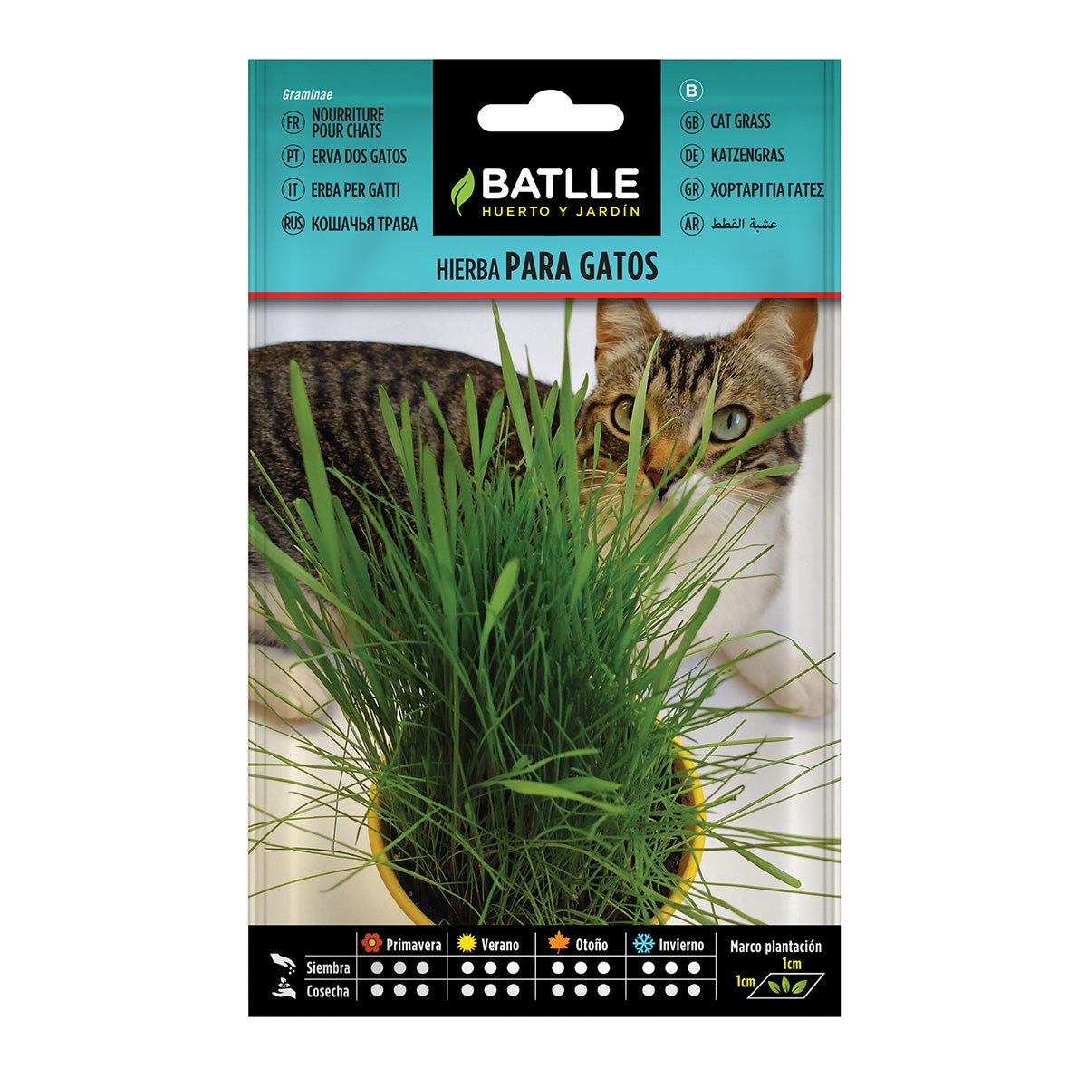 Kattengraszaadjes Batlle