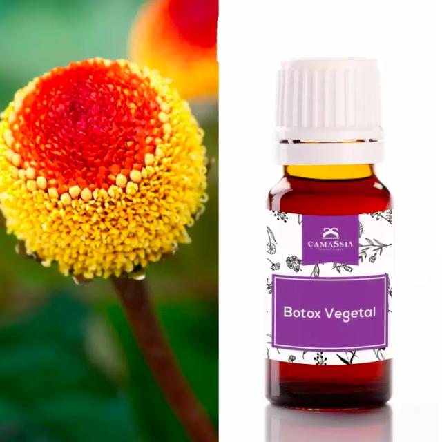 Botox végétal Principe actif, 10 ml. Camassia