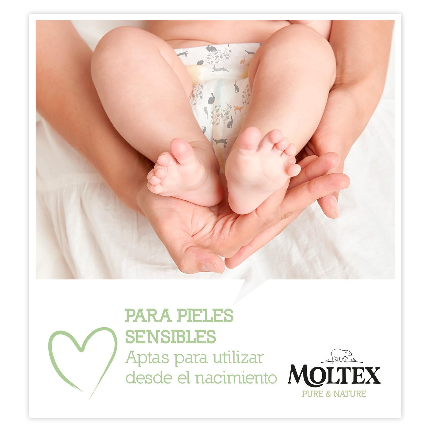 6er-Pack Moltex Pure & Nature Feuchttücher 60 Stück