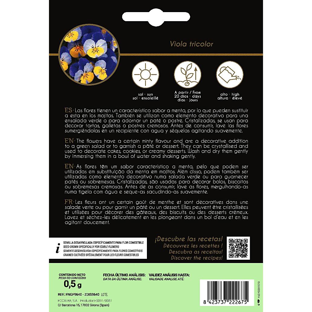 Ätbara blommor av pensé Rocalba