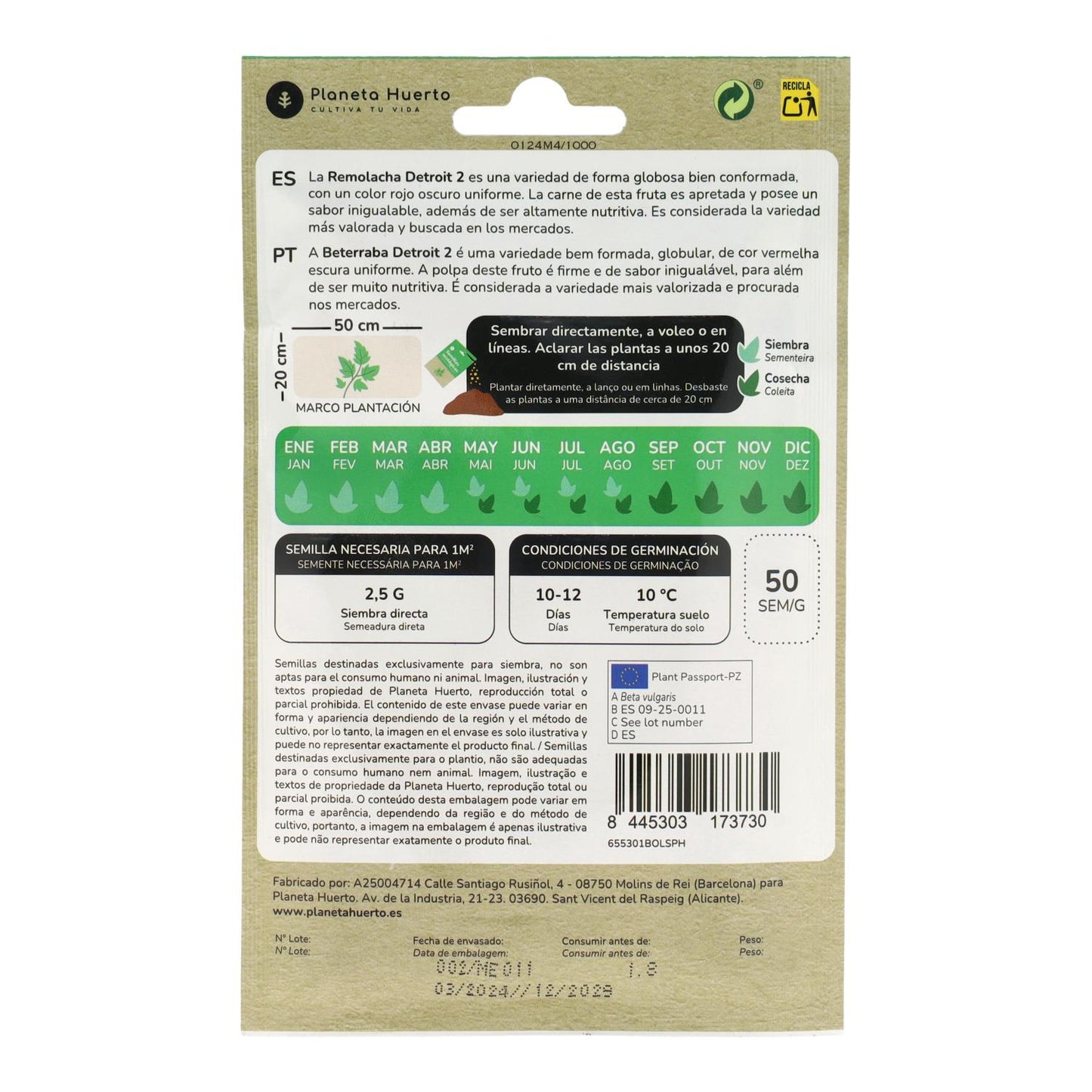 Bio Detroit Rote Bete Saatgut 2 Planet Vegetable Garden