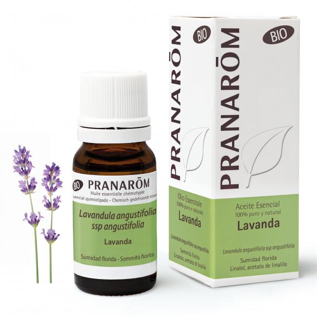 Ätherisches Lavendelöl BIO Pranaróm 10 ml