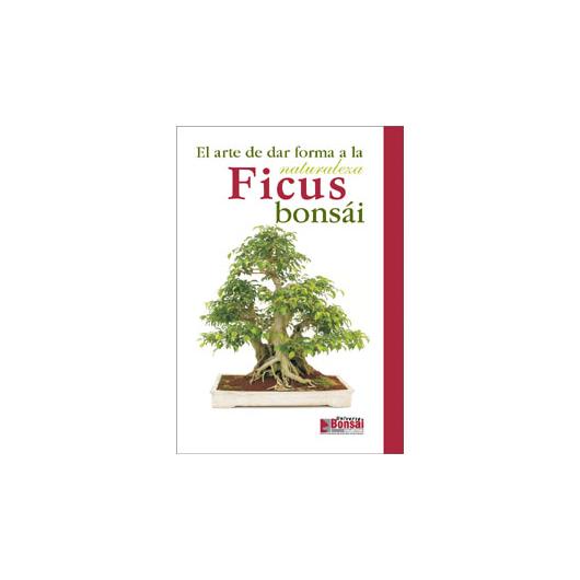 Guida al bonsai di ficus