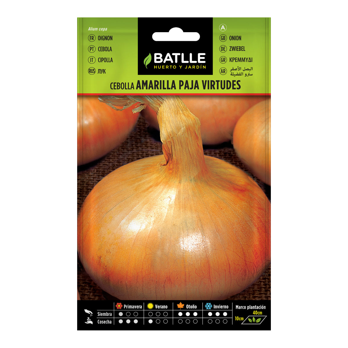 Zaden van gele ui Paja Virtudes Batlle