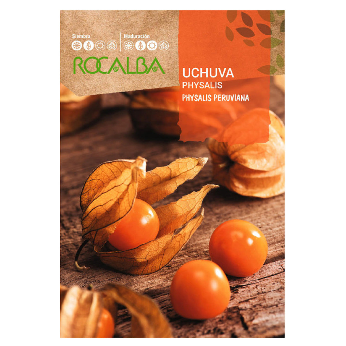 Nasiona Physalis Uchuva, Rocalba