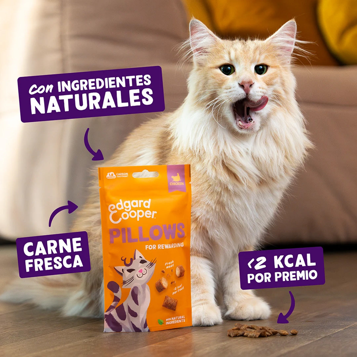 Bocconcini di pollo Premi naturali per gatti Edgard Cooper 60 g