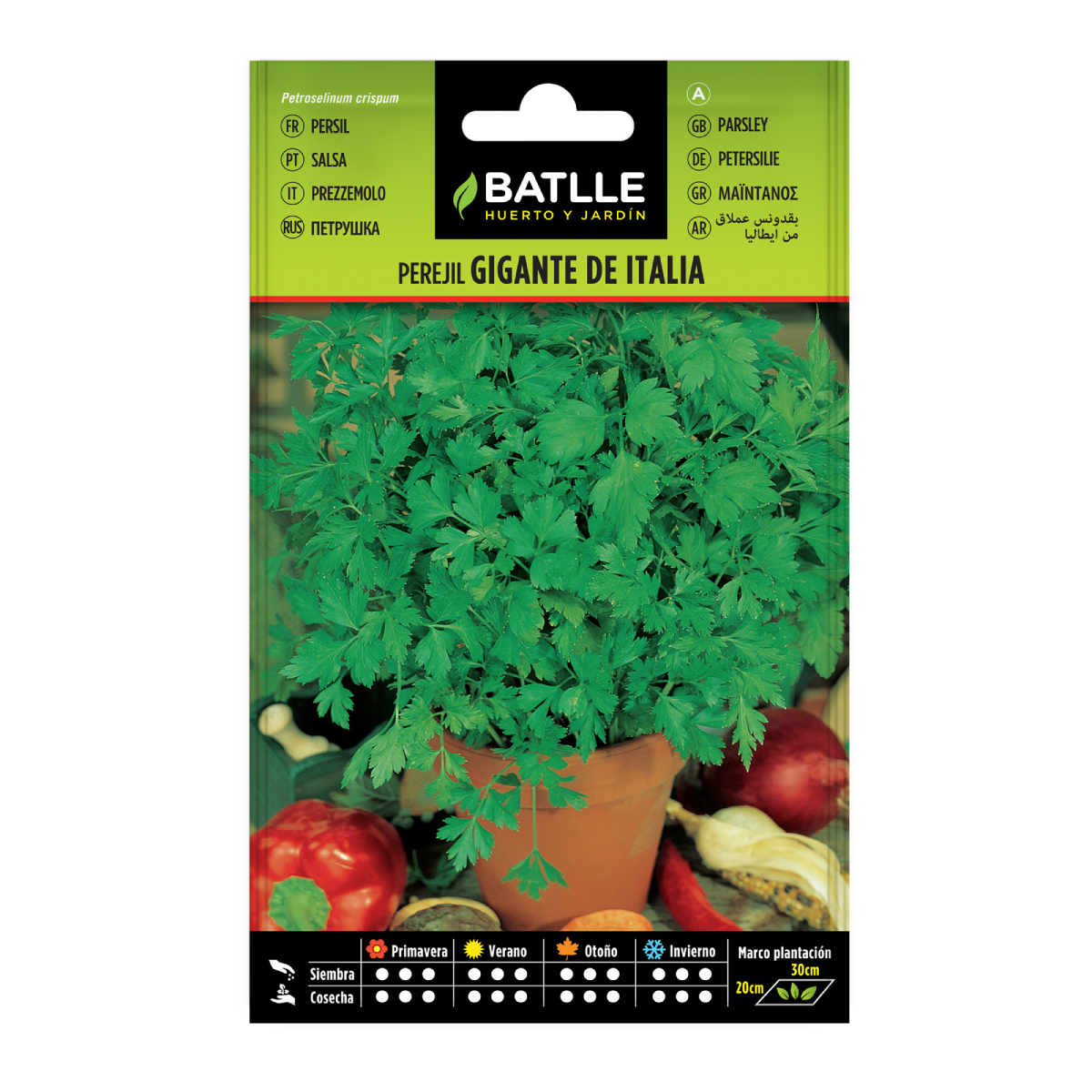 Jättepersiljafrön från Italien Batlle