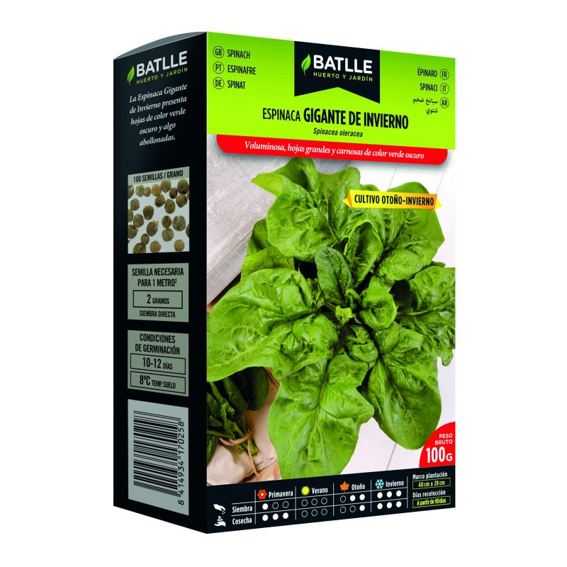 Samen von Riesen-Winterspinat 100 g Batlle