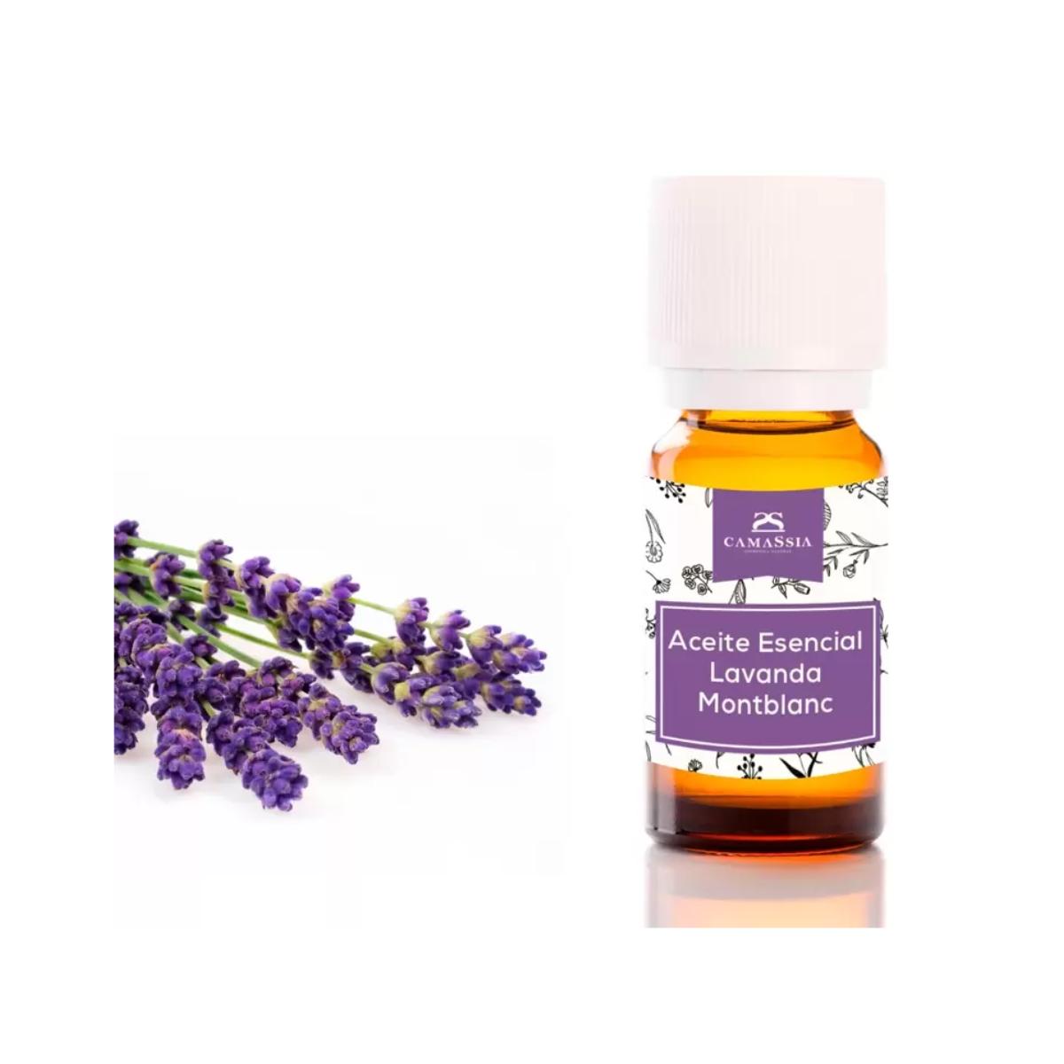 Huile essentielle de lavande, Camassia 10 ml
