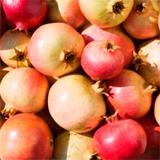 Olejek do ciała z granatem WELEDA 100 ml