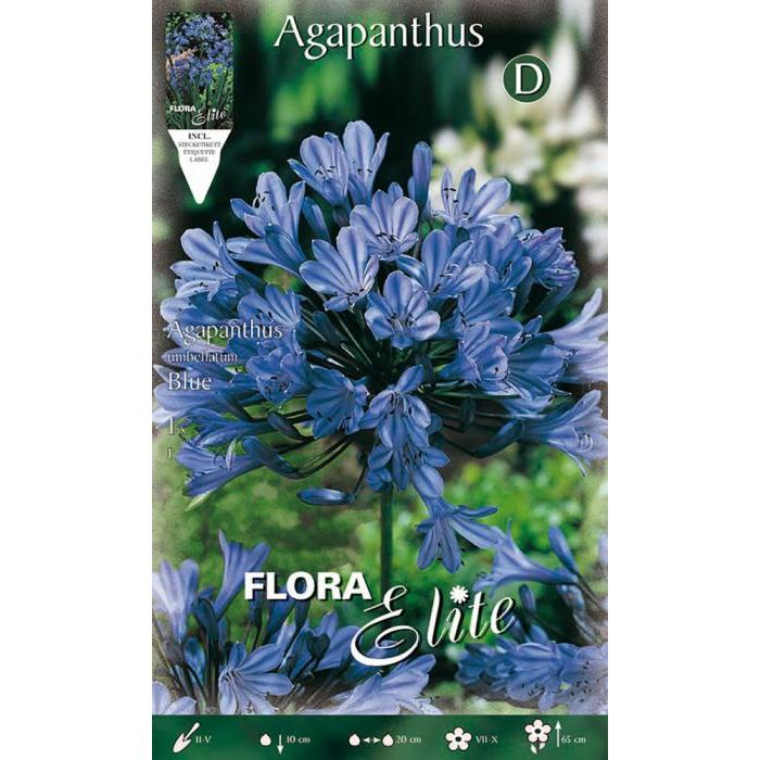 Blauwe agapanthusbol 1 stuk