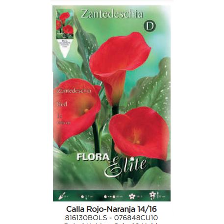 Roodoranje calla-bol 1 stuk