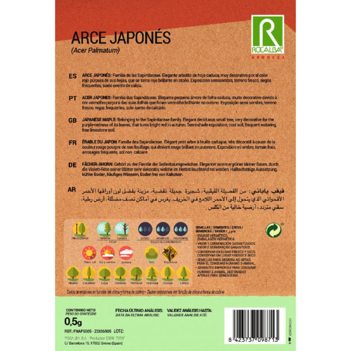 Japanese Maple Seeds Acer palmatum