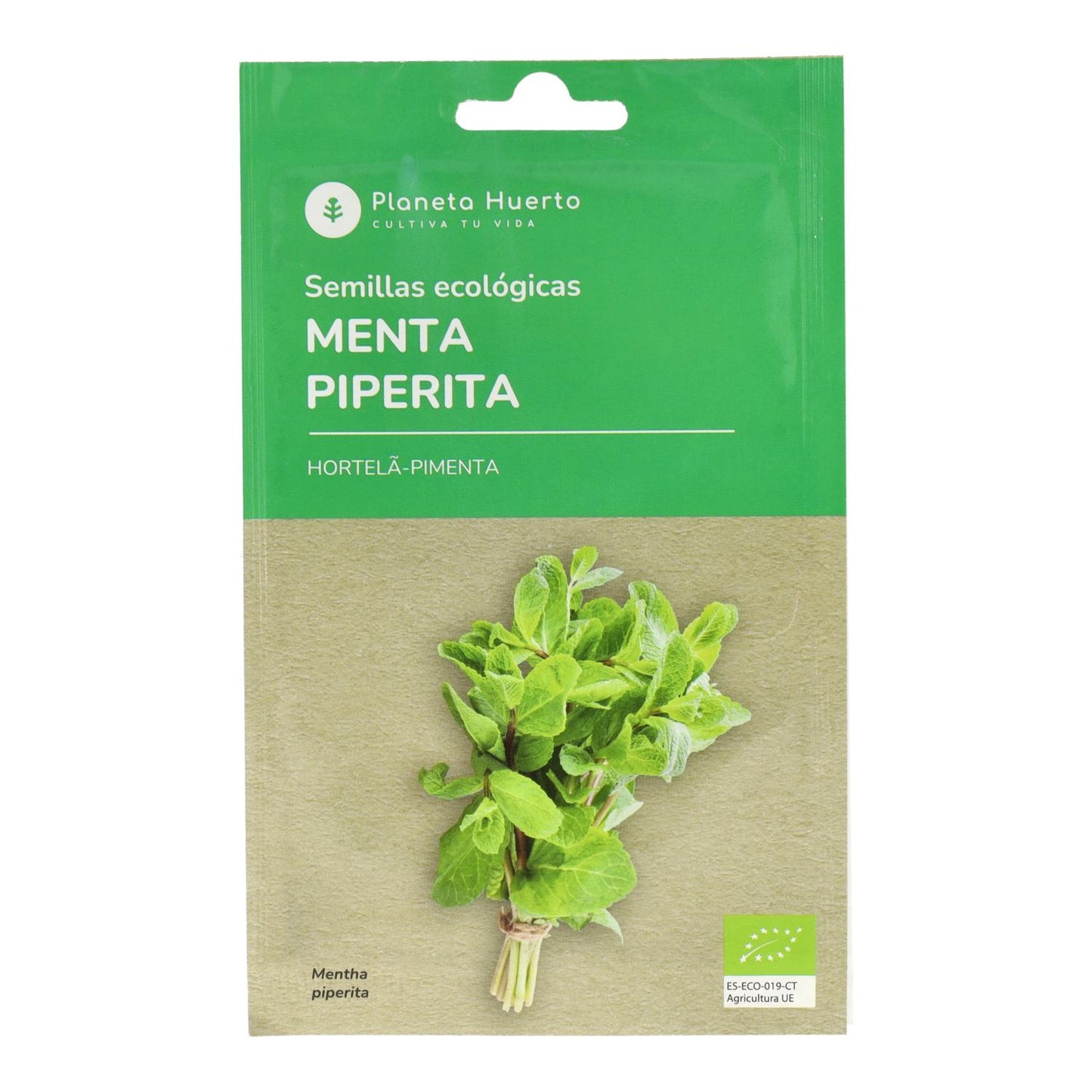 Bio-Samen der Pfefferminze Planeta Huerto