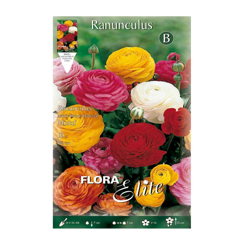 Blandning av 10 ranunkelknölar