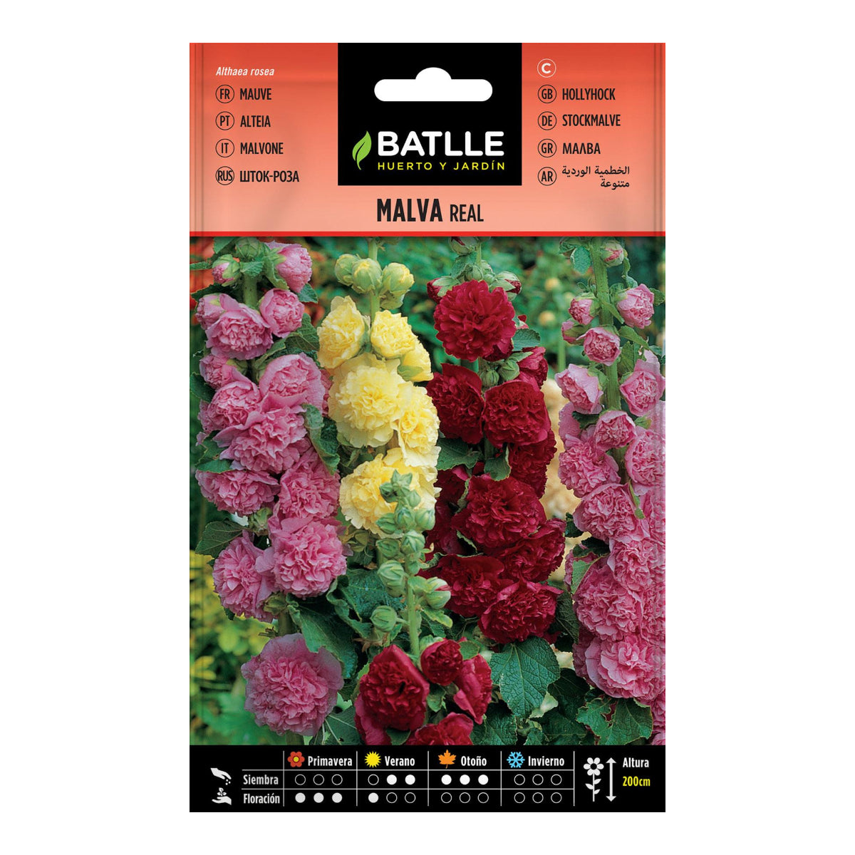 Graines de mauve royale variées Batlle