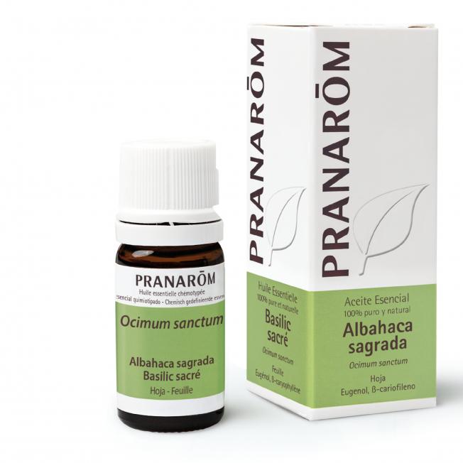 Huile essentielle Basilic sacré feuille Pranarom 5 ml