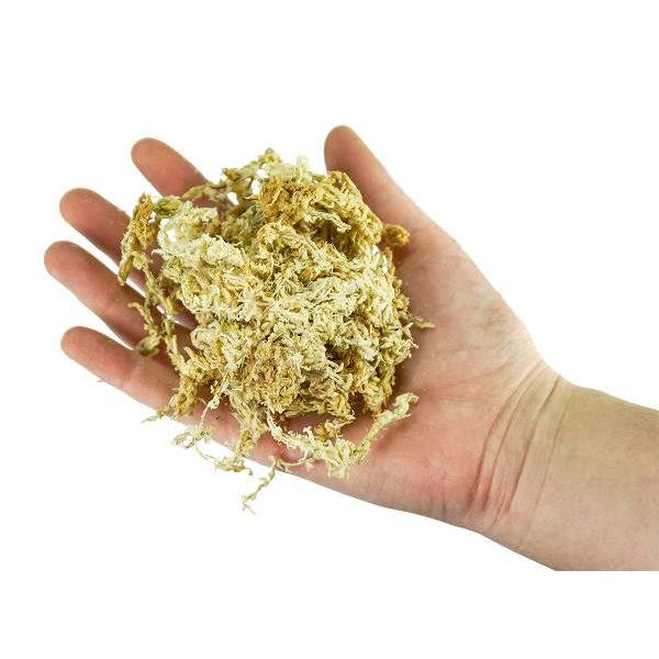 Sphagnum moss substrate for bonsai 150 g