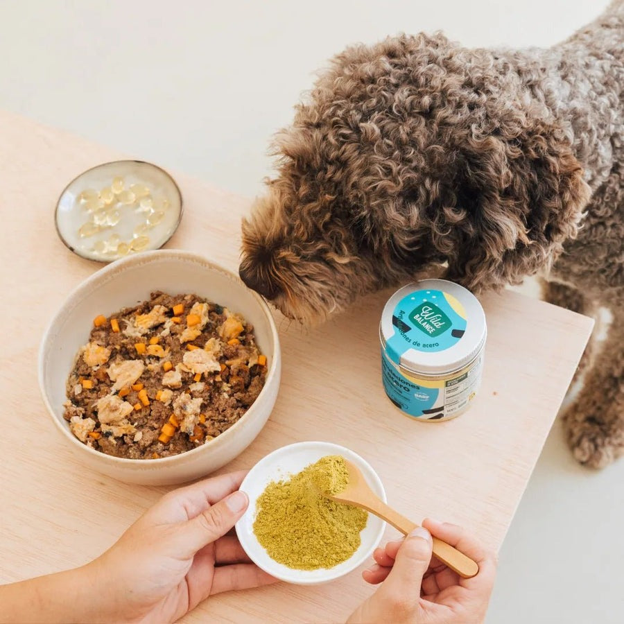 Stalen gewrichten Natuurlijk supplement voor huisdieren Wild Balance 100 g