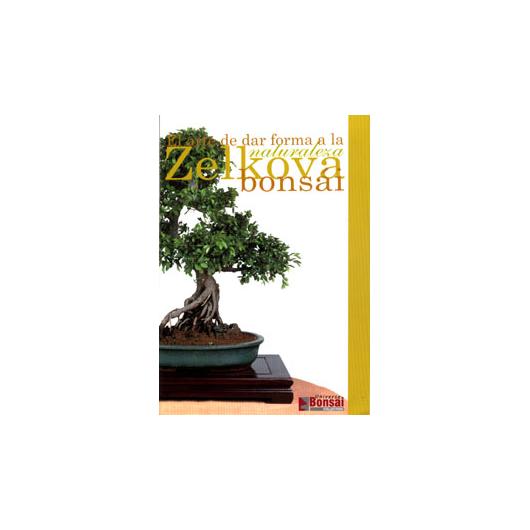 Guide Zelkova Bonsái