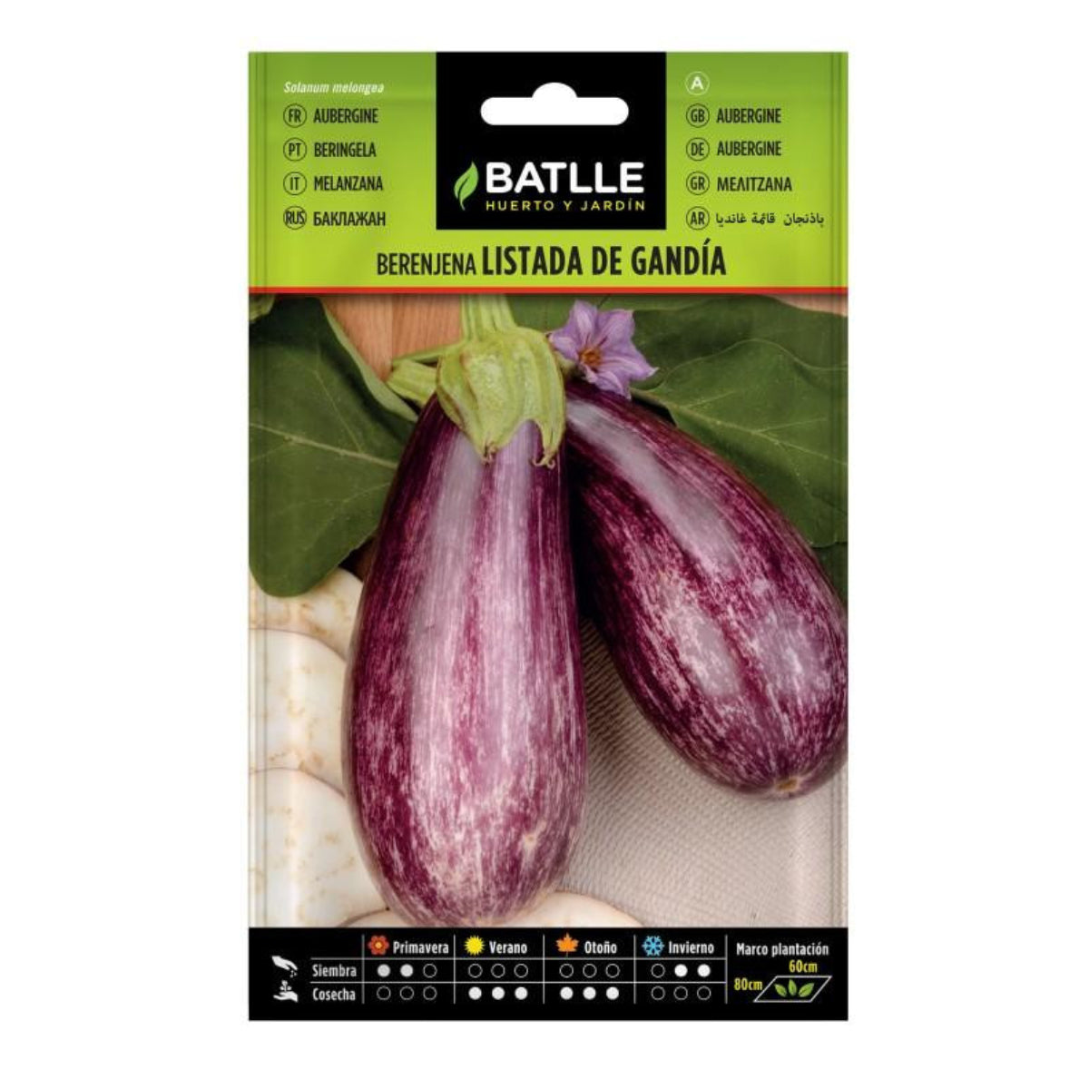 Samen der gestreiften Aubergine von Gandía Batlle