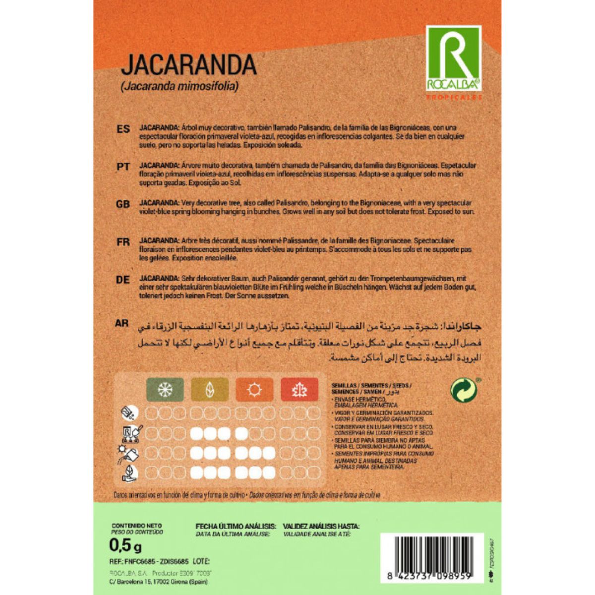 Jacaranda-zaden Jacaranda mimosifolia