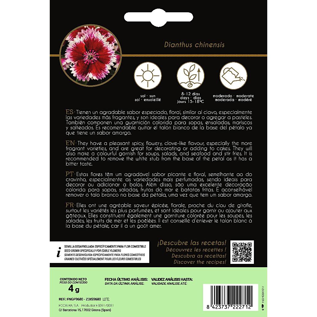 Ätbara blommor av kinesisk nejlika Rocalba