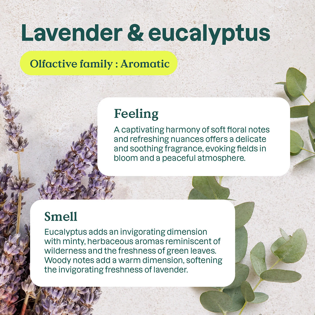 Natürlicher Luftreiniger Eukalyptus und Lavendel Attitude 227 g