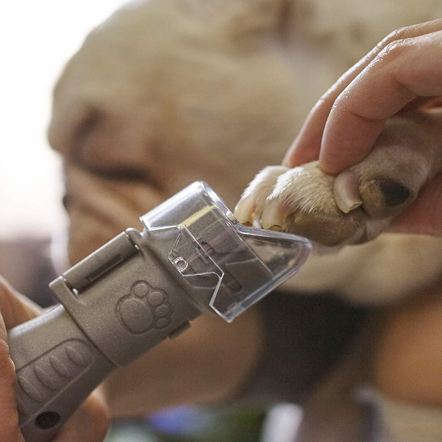 Pflegeset für Tierkrallen Dremel 7020-PGK