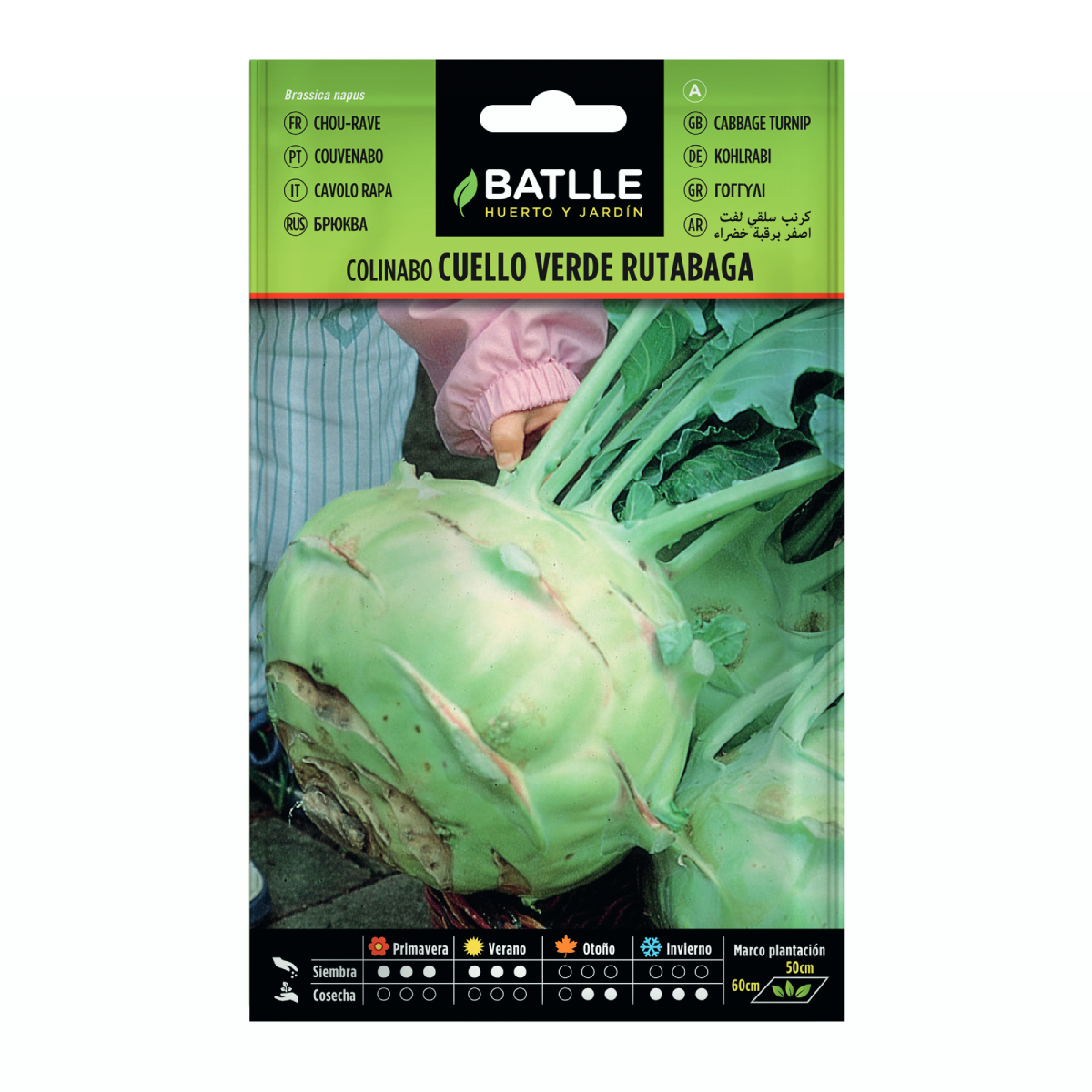 Frön av grönkål Rutabaga Cuello Verde Batlle
