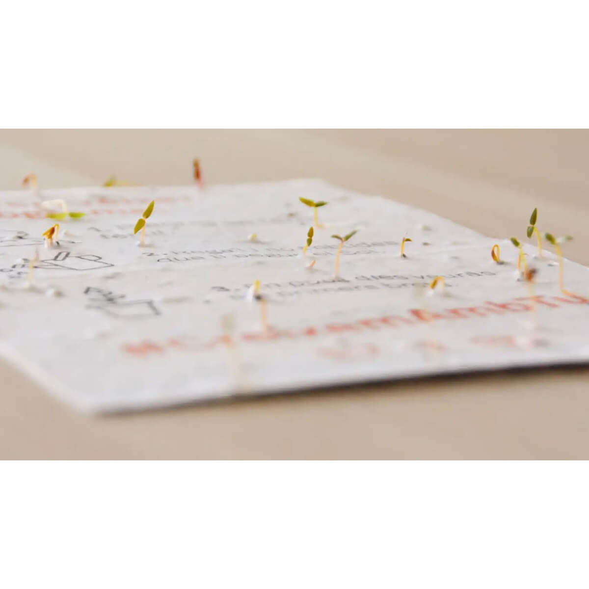 Plantable Calendar 2025 Planet Orchard Förvandla tid till natur