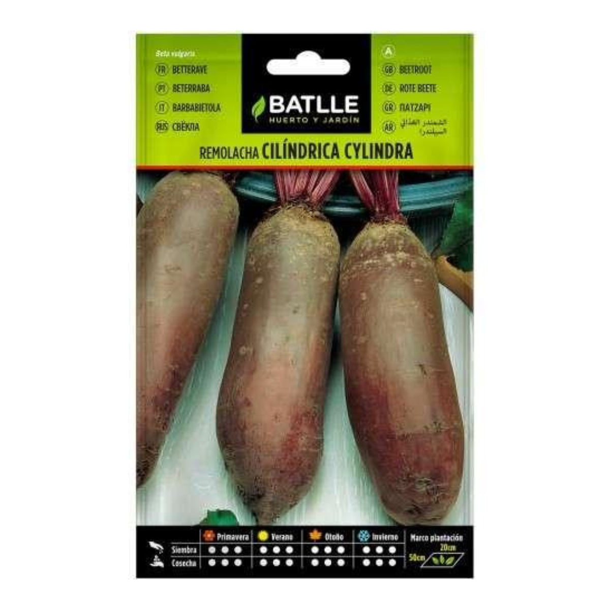 Rote-Bete-Samen Cylindra Batlle