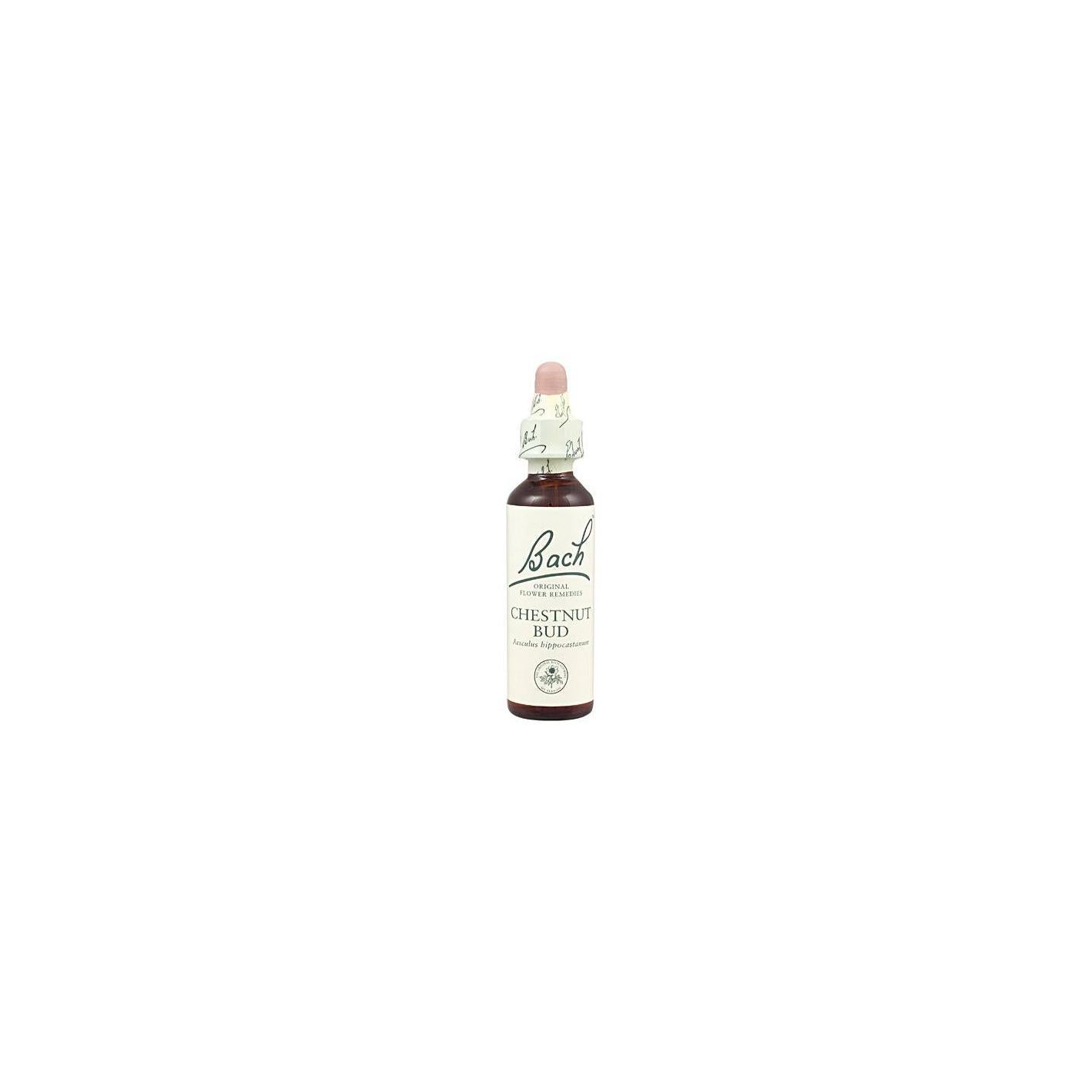 Bach 07 Chestnut Bud 20 ml (kastanjeknop) Bach