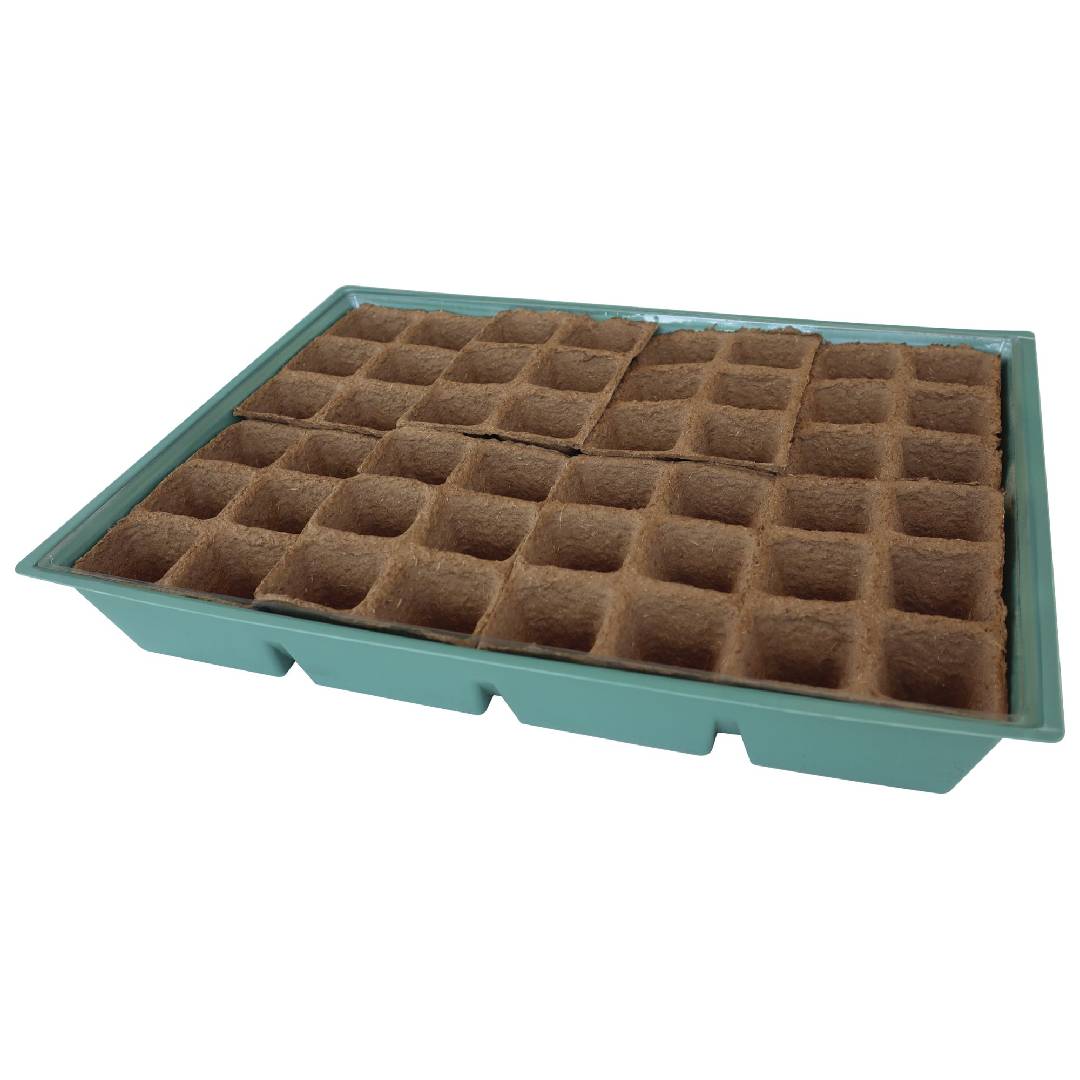 Saatgut-Set L mit 10 Ersatzschalen Planeta Huerto