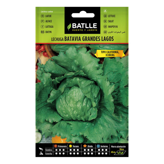 Graines de laitue Grandes Lagos Batlle
