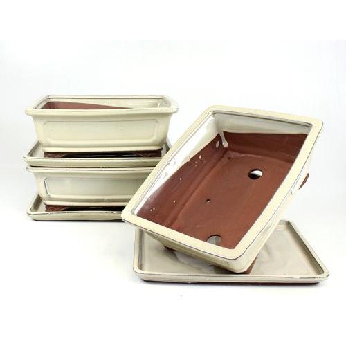 Rektangulär bonsaikruka 25 cm med krämfärgad bricka