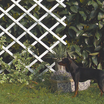 Trelliflex Nortene PVC extensible 0,5 x 1,5 m blanc