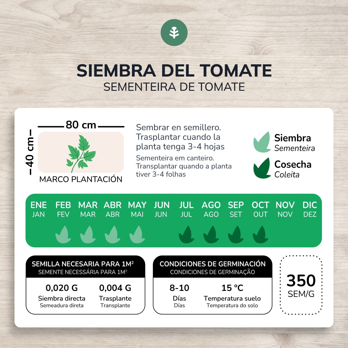 Graines de tomates bio marmande Raf Planeta Huerto