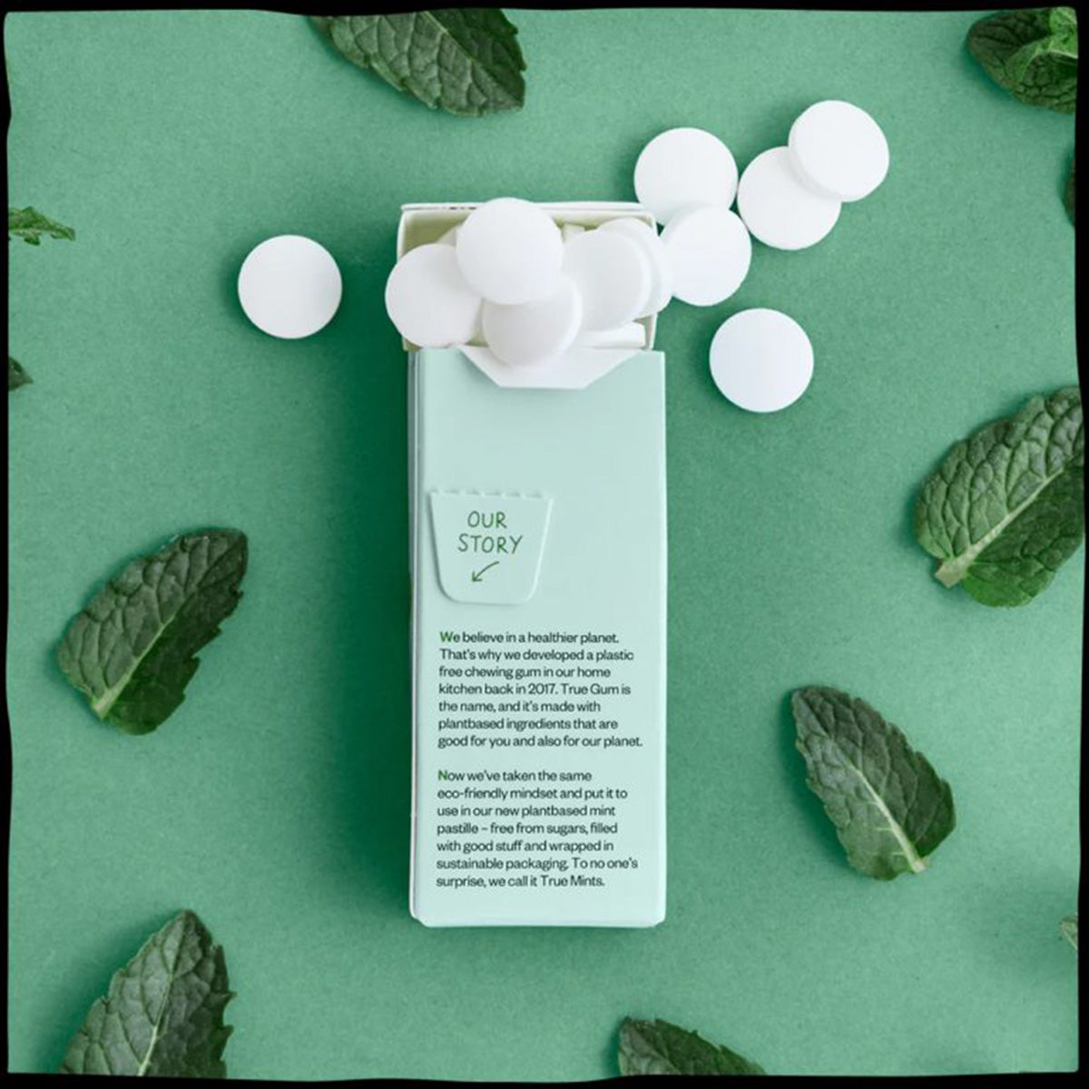 Cukierki bez plastiku o smaku świeżej mięty True Mints 13 g