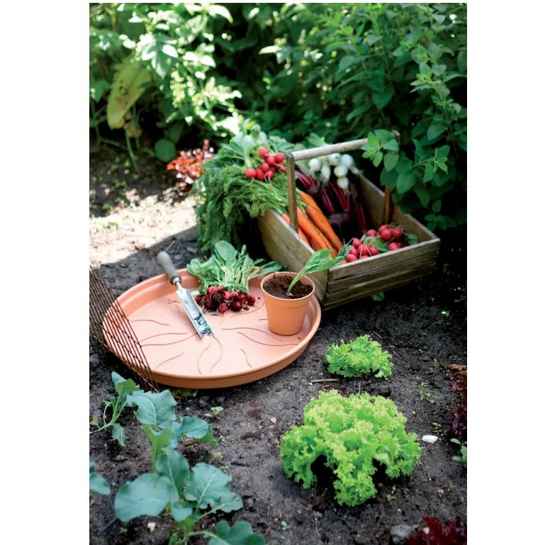 Teller Green Basics Elho Terra 25 cm