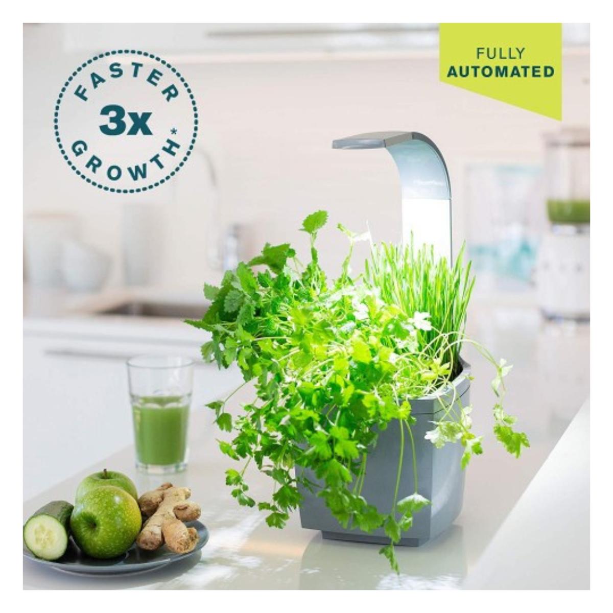 T3 Kitchen Garden Self-Cultivation Pot 20 x 17.5 cm Black