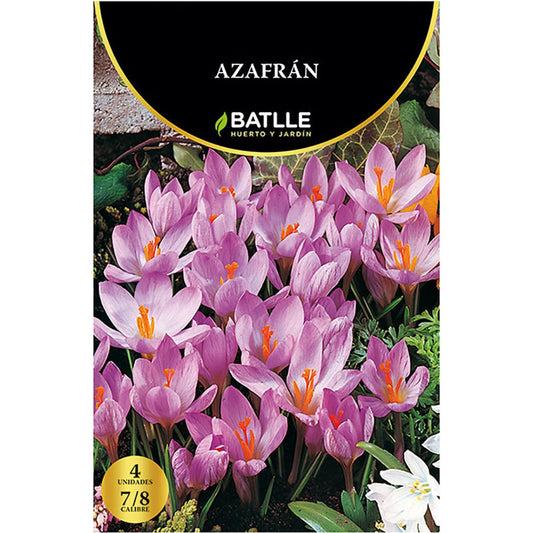 Saffron Bulbs 4 pcs